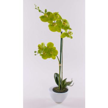 Orchidée Phalaenopsis artificielle AURELIA en pot en céramique, vert, 55cm Orchidée Phalaenopsis artificielle AURELIA en pot en céramique, vert, 55cm