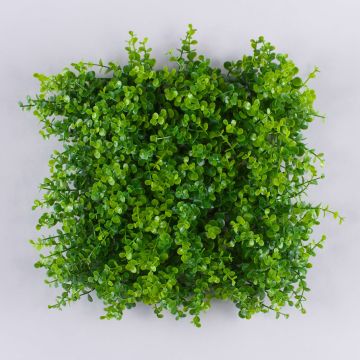 Tapis d'eucalyptus en plastique SERAFINO, vert, 35x35cm Tapis d'eucalyptus en plastique SERAFINO, vert, 35x35cm