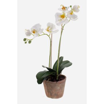 Orchidée en soie MINA, pot en terre cuite, blanc, 45cm, Ø6-8cm