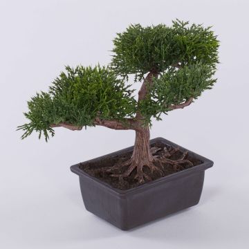 Bonsaï artificiel cèdre ALVARI avec racines, coupe décorative, 20cm Bonsaï artificiel cèdre ALVARI avec racines, coupe décorative, 20cm