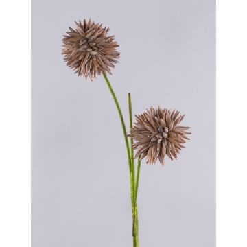 Allium artificiel CHIRARA, brun, 95cm, Ø10cm Allium artificiel CHIRARA, brun, 95cm, Ø10cm
