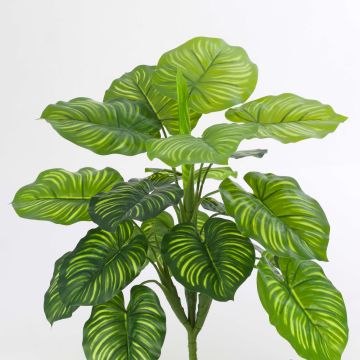 Calathea en plastique ULANI, sur piquet, vert, 45cm Calathea en plastique ULANI, sur piquet, vert, 45cm