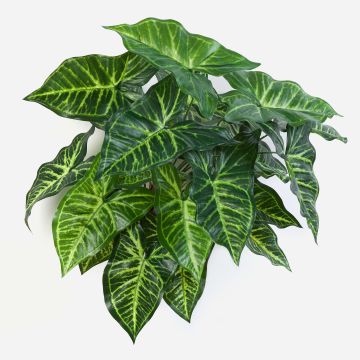 Syngonium artificiel SERENO, sur piquet, vert, 45cm
