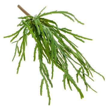 Rhipsalis en chute artificiel HADRIAN, sur piquet, vert, 35cm