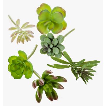 Fausses Plantes succulentes JADON, piquet, 6 pcs, multicolore, 13cm, Ø5cm