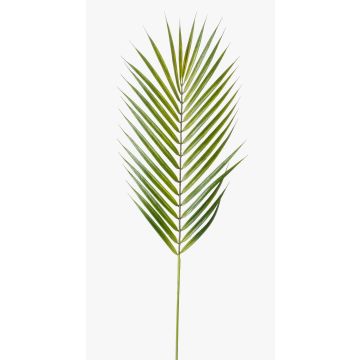 Feuille de palmier Rhapis excelsa synthétique EMILIO, 75cm
