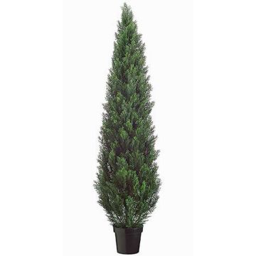 Faux cèdre EDELA, anti-uv, vert, 180cm Faux cèdre EDELA, anti-uv, vert, 180cm