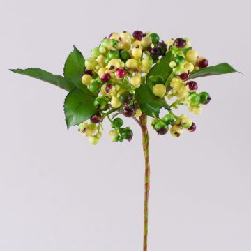 Branche de sureau artificielle HELMA, baies, vert clair-rouge, 30cm Branche de sureau artificielle HELMA, baies, vert clair-rouge, 30cm