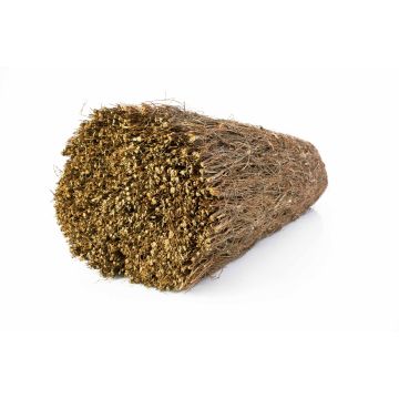 Brise-vue LUKE de bruyère, marron, 500cmx175cm Brise-vue LUKE de bruyère, marron, 500cmx175cm