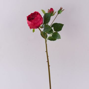 Rose-Chou artificielle MIRETTA, rouge, 60cm, Ø3-9cm Rose-Chou artificielle MIRETTA, rouge, 60cm, Ø3-9cm