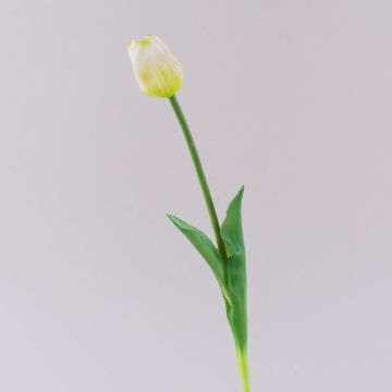 Tulipe artificielle LONA, blanc-vert, 45cm, Ø4cm Tulipe artificielle LONA, blanc-vert, 45cm, Ø4cm