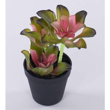 Echeveria artificiel SHAUNA en pot décoratif, vert-violet, 25cm Echeveria artificiel SHAUNA en pot décoratif, vert-violet, 25cm