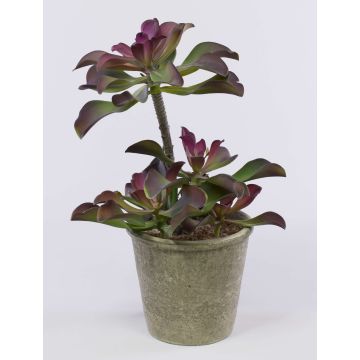Echeveria artificiel SHAUNA en pot décoratif, vert-violet, 40cm Echeveria artificiel SHAUNA en pot décoratif, vert-violet, 40cm