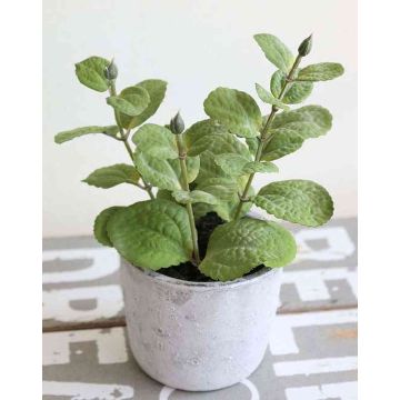 Menthe artificielle ALBUS, pot en béton, vert, 17cm