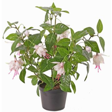Fuchsia artificiel THAYNARA, rose pâle, 30cm, Ø5cm Fuchsia artificiel THAYNARA, rose pâle, 30cm, Ø5cm