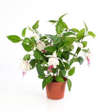 Fuchsia artificiel THAYNARA, avec fleurs rose pastel, 30cm Fuchsia artificiel THAYNARA, avec fleurs rose pastel, 30cm
