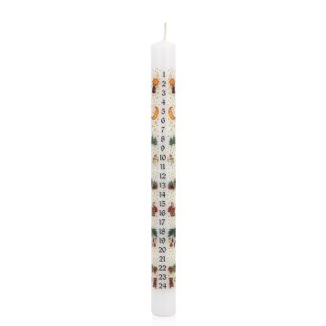 Calendrier de l'Avent, bougie cylindrique LAMBERTINA, jours de l'Avent imprimés, blanc et multicolore, 25 cm, Ø 2,3 cm - Fabriqué en Allemagne Calendrier de l'Avent, bougie cylindrique LAMBERTINA, jours de l'Avent imprimés, blanc et multicolore, 25 cm, Ø 2,3 cm - Fabriqué en Allemagne