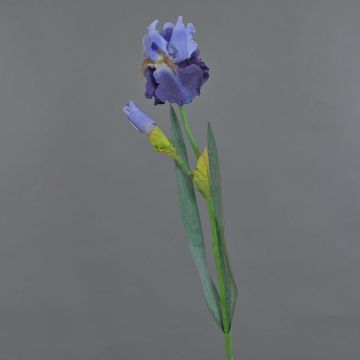 Iris artificiel ALYSSA, bleu, 70cm, &Oslash;13cm