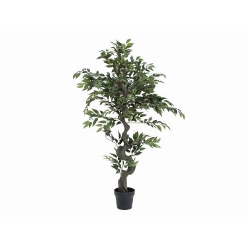 Ficus exotica artificiel YUMA, tronc artificiel, vert, 110cm Ficus exotica artificiel YUMA, tronc artificiel, vert, 110cm