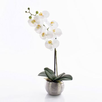 Phalaenopsis artificiel EMILIA, pot décoratif, blanc, 45cm, Ø8cm Phalaenopsis artificiel EMILIA, pot décoratif, blanc, 45cm, Ø8cm