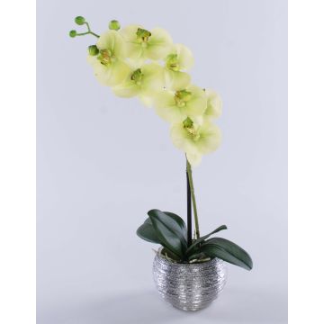Phalaenopsis artificiel EMILIA, pot décoratif, crème-vert, 45cm, Ø8cm Phalaenopsis artificiel EMILIA, pot décoratif, crème-vert, 45cm, Ø8cm
