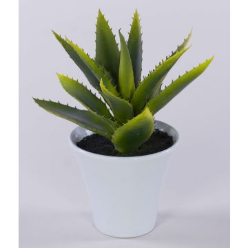 Aloe Vera artificiel ROSALINA, pot de céramique, vert, 21cm