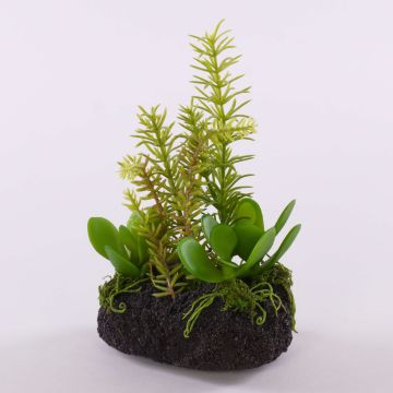 Arrangement de fausses succulentes BAMBI en motte, vert, 19cm