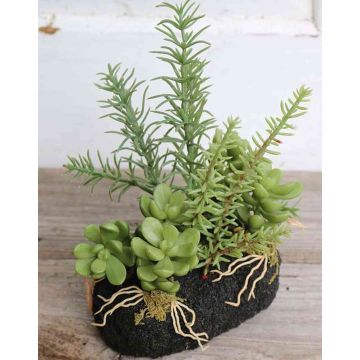 Arrangement de fausses succulentes BAMBI en motte, vert, 19cm