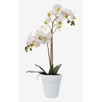 Orchidée Phalaenopsis en soie CANDIDA, pot en céramique, blanc, 65cm, Ø7-8cm