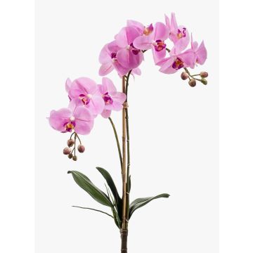 Orchidée Phalaenopsis en soie CANDIDA sur piquet, rose, 65cm, Ø7-8cm