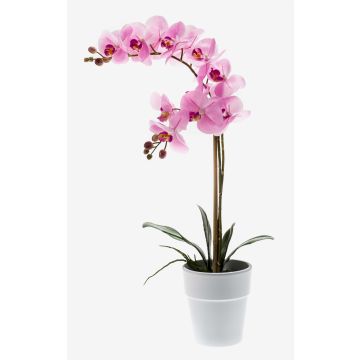 Orchidée Phalaenopsis en soie CANDIDA, pot en céramique, rose, 65cm, Ø7-8cm