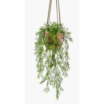 Panier suspendu SILIJA avec l'asparagus sprengeri artificiel SILIJA, pot en terre cuite, 75cm