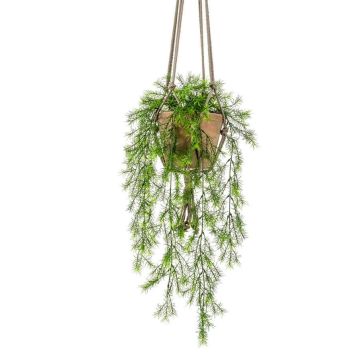 Panier suspendu SILIJA avec l'asparagus sprengeri artificiel SILIJA, pot en terre cuite, 75cm Panier suspendu SILIJA avec l'asparagus sprengeri artificiel SILIJA, pot en terre cuite, 75cm