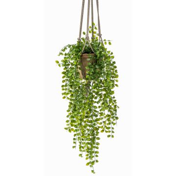 Suspension artificielle avec ficus pumila SILIJA, pot en terre cuite, vert, 80cm