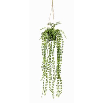 Suspension artificielle avec ficus pumila PANJA, pot décoratif, vert, 60cm