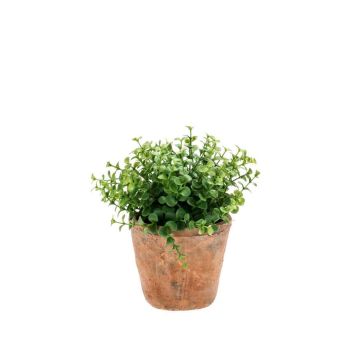 Eucalyptus artificiel LUCANO, en pot en terre cuite, vert, 20cm, Ø20cm
