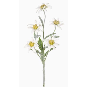 Edelweiss artificiel SOPHIA, blanc, 40cm, &Oslash;5-6cm