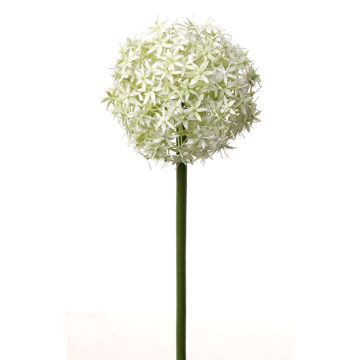 Fleur d'allium artificiel SAMARA, crème, 75cm, Ø12cm Fleur d'allium artificiel SAMARA, crème, 75cm, Ø12cm