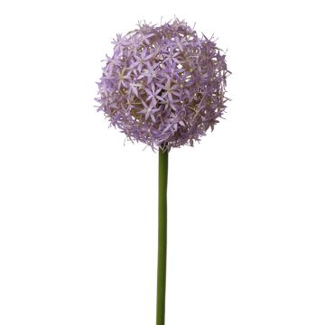 Fleur d'allium artificiel SAMARA, lilas, 75cm, Ø12cm Fleur d'allium artificiel SAMARA, lilas, 75cm, Ø12cm