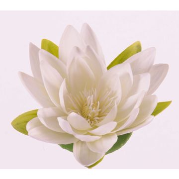 Nénuphar artificiel SCILLA, flottante, crème, 4cm, Ø16cm Nénuphar artificiel SCILLA, flottante, crème, 4cm, Ø16cm