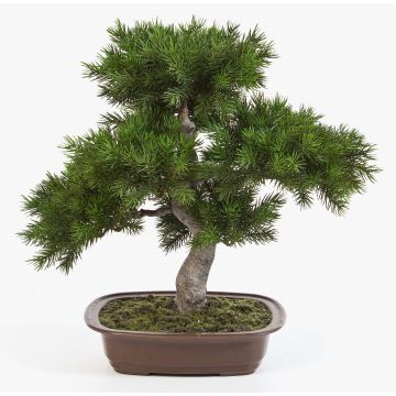 Bonsaï pin synthétique SELENA, en coupe à bonsai, vert, 50cm