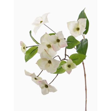 Branche de cornus artificiel KOHANA, fleurs crème, 70cm Branche de cornus artificiel KOHANA, fleurs crème, 70cm