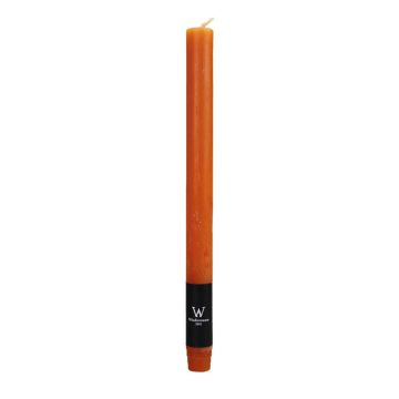 Bougie AURORA pour chandelier, orange, 27cm, Ø2,2cm, 10h - Made in Germany Bougie AURORA pour chandelier, orange, 27cm, Ø2,2cm, 10h - Made in Germany