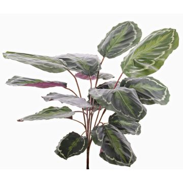 Calathea Médaillon artificiel BRIHANNA, sur piquet, vert, 75cm Calathea Médaillon artificiel BRIHANNA, sur piquet, vert, 75cm