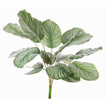 Calathea Orbifolia synthétique ZAIDA, sur piquet, vert, 75cm Calathea Orbifolia synthétique ZAIDA, sur piquet, vert, 75cm