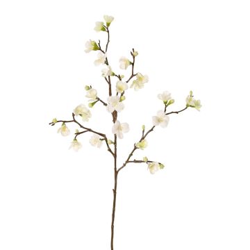 Fausse branche de pommier en fleurs SADAKA, crème, 70cm