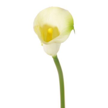 Faux Calla CHIDORA, crème, 55cm, 5x6cm