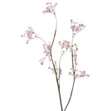 Fausse Gypsophile ASANA, rose, 65cm, Ø0,5cm Fausse Gypsophile ASANA, rose, 65cm, Ø0,5cm