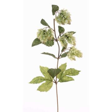 Tige de houblon artificielle AXEL, avec fleurs, vert, 65cm Tige de houblon artificielle AXEL, avec fleurs, vert, 65cm