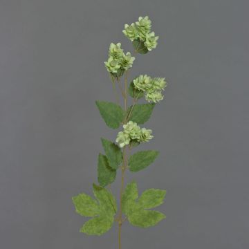 Tige de houblon artificielle AXEL, avec fleurs, vert, 65cm Tige de houblon artificielle AXEL, avec fleurs, vert, 65cm